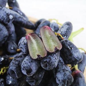 포미식탁 가지포도 블랙사파이어 포도 4kg