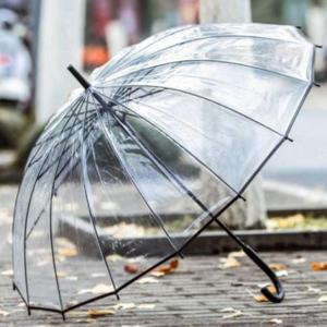 넓은 비닐 장우산 골프 우산 수동 투명 우산 WFGUI7Z