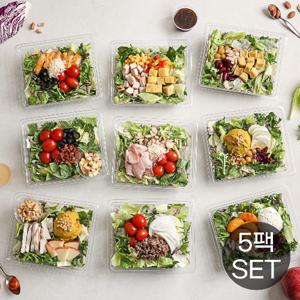 [다신샵] 당일생산&프리미엄토핑 한스푼 샐러드 든든 1주 식단 5팩 세트 / 드레싱 증정