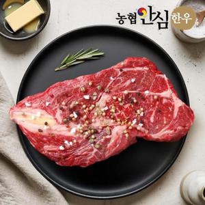[농협안심한우] 1등급 한우 등심 500g