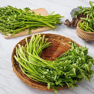 세척손질! 국내산 미나리2kg