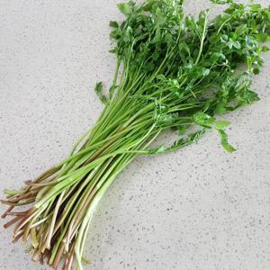 손질 세척 청도 미나리 2kg