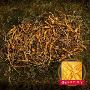 [명가천삼] 강원도 토종 산양삼 실속형 50g(5~6년근 25-45뿌리)