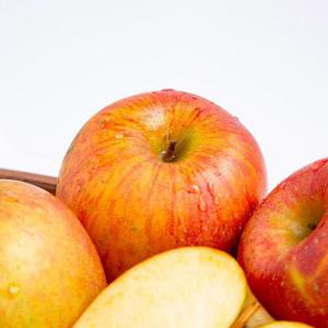 갤러리아_[더조은] 알뜰 꿀사과 부사사과 10kg 흠과 33-46과