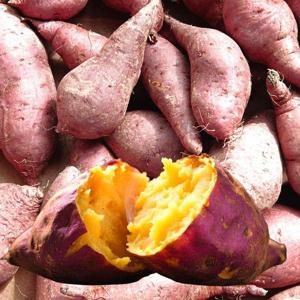 포미식탁 비세척 호박고구마 호풍미 대 사이즈 3kg