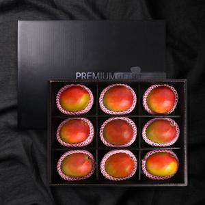 [델리후르츠] 애플망고 프리미엄 선물세트 9과