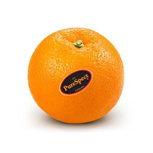 [팜쿡] 고당도 퓨어스펙오렌지 블랙라벨 15과 중과