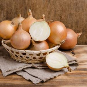 [산지직송] 26년 햇 무안양파 5kg / 대