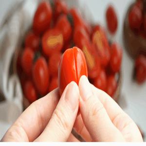 [GAP인증]산지직송! 국내산 대추방울토마토 750g x 1팩(1-3번과)