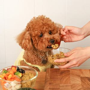 [유통기한 26.06.05]한끼뚝딱 강아지 수제 화식 사료 640g 3종