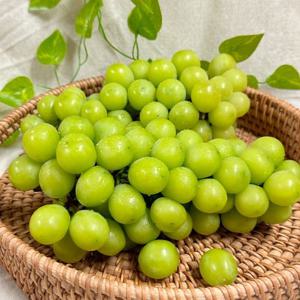 고딩도 샤인머스캣 정품 1kg (1-2수) 제철과일 포도