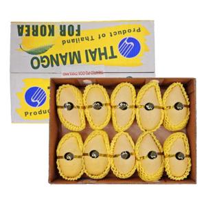 항공직송 태국 골드망고 대과 5kg (18-20과)