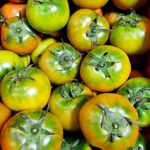 늘푸른 대저 짭짤이토마토 2.5kg 로얄과