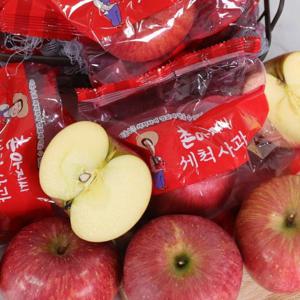껍질째먹는 경북 세척사과 부사 가정용 3kg 소과 (19-25과)