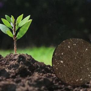 화분흙 채소키우기 영양 거름 가벼운 흙 분갈이