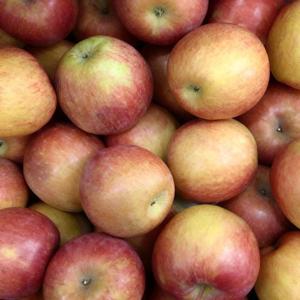 [팜보스]국내산 자연 그대로 못난이 사과 주스용 가성비 대용량 사과 9kg내외 (주스/잼/실중량)