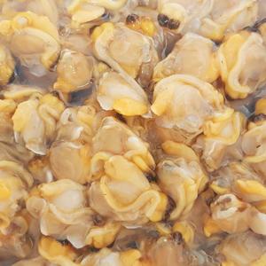 남해바다 바지락살1kg