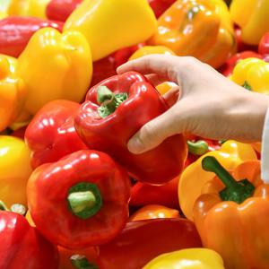 [맛딜]아삭달콤 신선한 국내산 파프리카 1.5kg