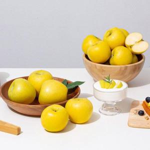 갤러리아_[더조은] 황금사과 시나노골드 정품 5kg 12-16과