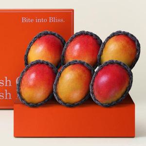 갤러리아_[후레쉬망고] 달콤한 애플망고 선물세트 (4~6과)