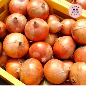 국내산 산지직송 햇양파 10kg 소(장아찌용)