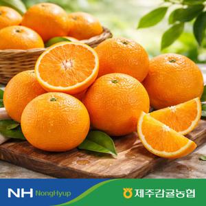 [농협][26년수확] 제주감귤농협 특등급 천혜향 4kg