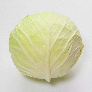 GN2510 제주 양배추 10kg