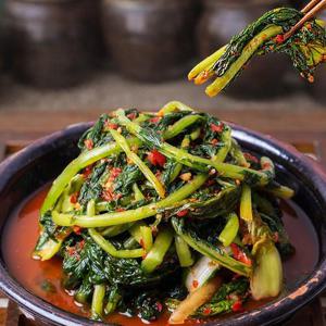 당일제조 국내산 전라도 열무얼갈이자박이 3kg HACCP 인증