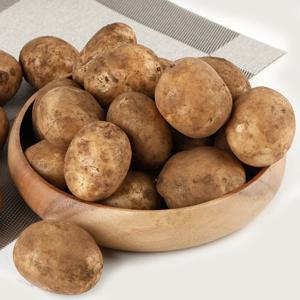 26년 햇감자 포슬포슬 수미감자 상 5kg