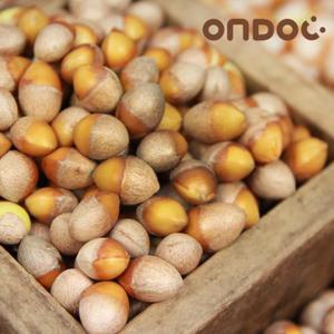 [온도씨]무농약 영양간식 고소한 토종 깐은행 500g(중)