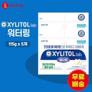 [롯데] 자일리톨 워터링 리필 (102gx5개)