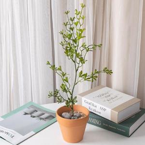 대형 세네시오 조화 화분 set 50cm (DIY) 인테리어 식물 조경 테이블 장식 소품 꾸미기