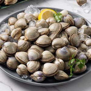 [당일채취] 고창 직송 자연산 해감 동죽(물총)조개 1kg