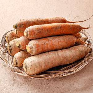 제주 구좌 흙당근 3kg(특/상)