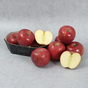 갤러리아_[GOURMET 494] 청송사과 3kg (11-12과)