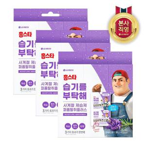 홈스타 습기를 부탁해 퍼퓸탈취플러스 방향 탈취 제습제 라벤더향 32g(4입) x 3개