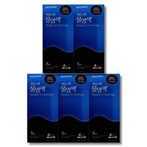 씨드비 물염색 다크브라운 10g x 4포 5박스