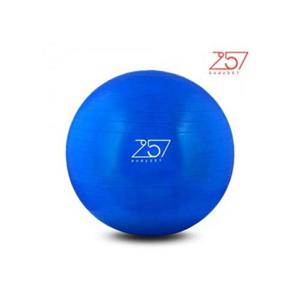 [오너클랜]인기상품 짐볼 45cm 블루 body257 요가 필라테스 매 [W6B3063_260331]
