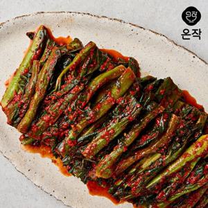 [온작] 이영자 갓김치 1kg+알타리총각김치 1kg(총 2kg)