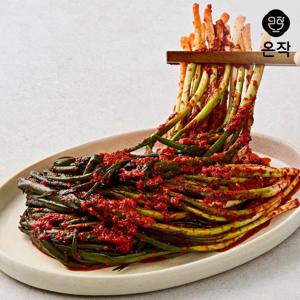 [온작] 이영자 파김치 3kg