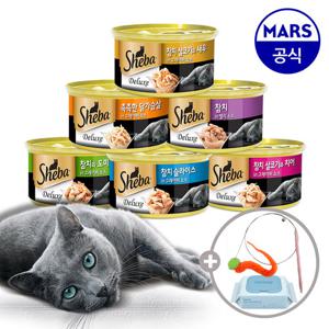 쉬바캔 85g 24개 골라담기+고양이낚시대+베베숲물티슈1팩
