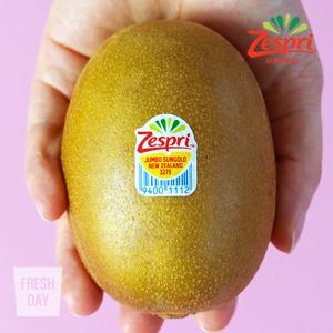 새콤달콤 제스프리 골드키위 프리미엄점보 15입