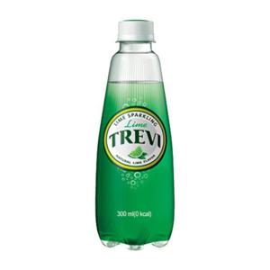 롯데 트레비 라임 300ml X 20펫