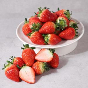 논산 홍희 딸기 800g (35-42입) / GAP 인증