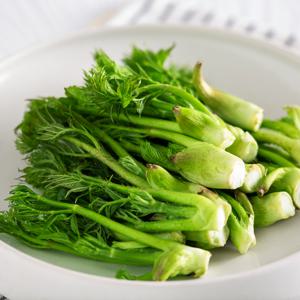 국내산 땅두릅 1kg