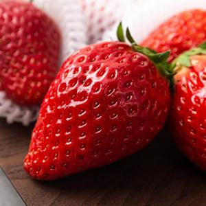 킹스베리 딸기 20구 (특) 800g내외