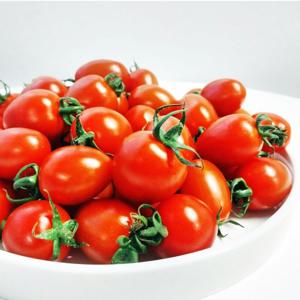 대추 방울토마토 2kg (로얄과~대과)