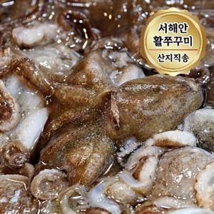 서해안 자연산 활 쭈꾸미 2kg (14-26미) 빙장포장