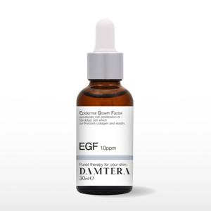 담테라 EGF 10ppm 이지에프 앰플 원액 30ml