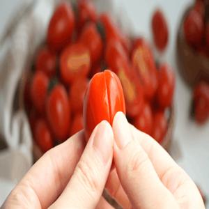 [GAP인증] 달콤한 스테비아 방울토마토 1kg(500g*2팩)